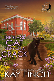 the black cat steps on a crack